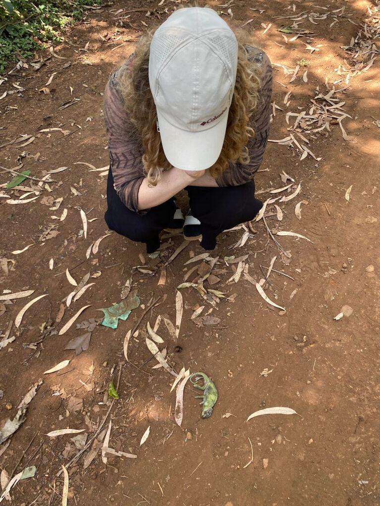 NEŽA NA LOVU ZA KAMELEONOM PART 3